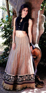 Beige Color Net Lehenga - Ethnicyug